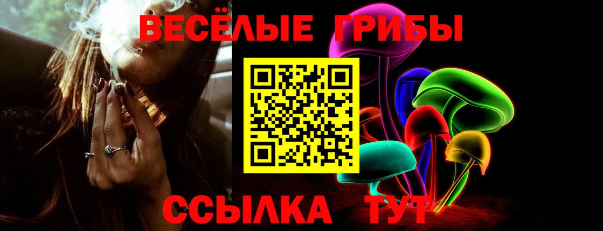 Галлюциногенные грибы Magic Shrooms  Вход с VPN  Галлюциногенные грибы мухоморы  Томск 