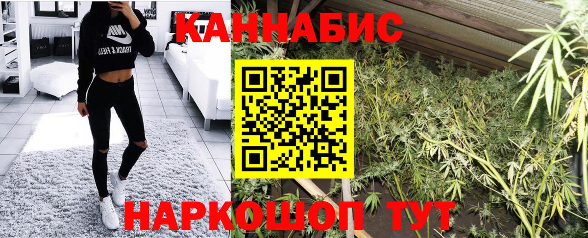 Бошки марихуана конопля  Марихуана Amnesia  Вход с VPN  Томск  МАРИХУАНА Bruce Banner 